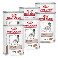로얄캐닌헤파틱캔