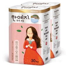 한예지비데티슈