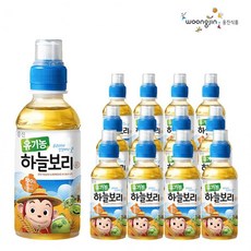 코코몽하늘보리