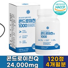 인생도담 콘드로이친 글루코사민 고함량 1000mg X 120정 4개월분, 1개