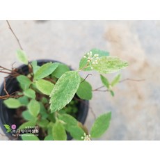 1a257367e2dd0c41003916fb98a20bcc967ac9babe1950c6551b7e7d5d1f.jpg