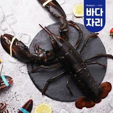 포항알데아풀빌라