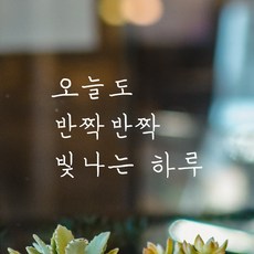 모노먼트 손글씨 감성 레터링 스티커 - 오늘도 반짝반짝 빛나는 하루, 흰색 - 오늘의집인테리어