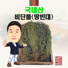 국내산 비단풀(땅빈대) 300g (경북 영천) 국산, 1개 - 비단풀칠