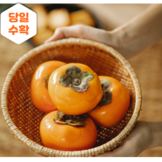 청년농부 고당도 부유단감/ 전남장성 농장직배송 5kg 10kg, 1박스, 부유단감 5kg 중과(30과 내외) (가성비)