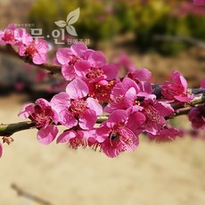//상품명