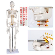 3d3dea873a1d74b35b18864fc3f56ff374a4fe785d51dbd064389dfefdba.jpg