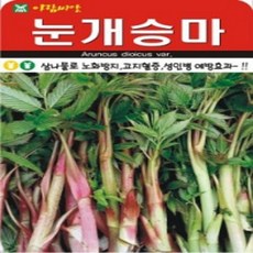 AR 눈개승마(50ml) 삼나물 씨앗