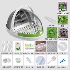누에 사육장 케이지 사육통 곤충 관찰 키우기, 1개, 캡슐+누에50마리+알50개+뽕잎0.5kg+도구