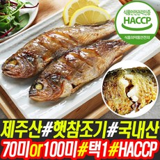 제주파지조기