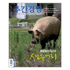 주간경향 1430호 : 2021 6월호