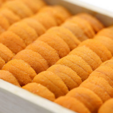 통영 성게알 (해수우니) 100g, 1. 100g 1개, 1개