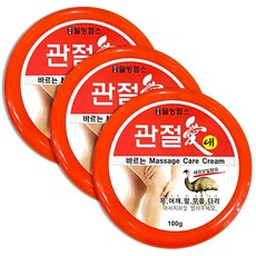 관절애100g