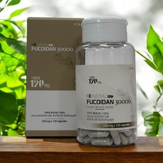 리뉴얼벳 후코이단30000 캡슐형 120개입, 120개, 250mg, 면역/항산화