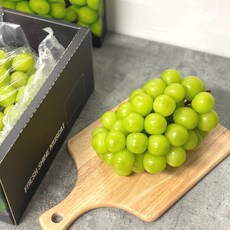 산지직송샤인머스켓1kg