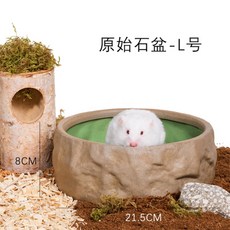 햄스터공화국