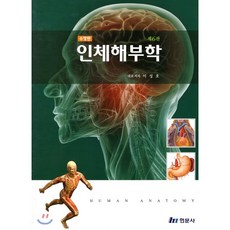 인체생리학현문사