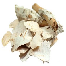 백신부작용도서