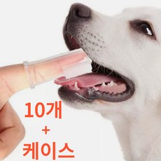 키누리 강아지 애견 고양이 실리콘 손가락 칫솔, 투명, 10개 - 강아지손가락칫솔