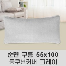 포근포그미2인용베게솜