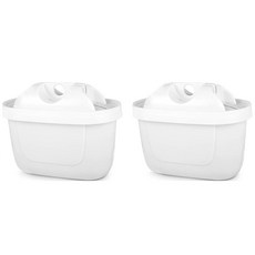 브리타스타일필터