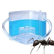 개미키우기 개미집 개미 관찰하기 농장 만들기 기르기 하우스 1개 상품 이미지