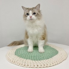 개달당 댕냥이 스크래쳐 겸 러그 고양이 강아지 방석, 민트, 1개