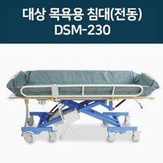 대상 병원 요양원용 환자 샤워 목욕 전동 리프트 침대 배드 DSM-230, 1개