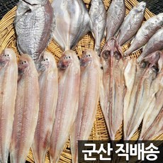 장스토어 제수용 생선 반건조 조기 5미 600g 산항직송, 1세트, 제수용 조기 5미 600g 내외