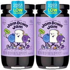 복음자리 잼다운잼 블루베리&블랙커런트 225g 2개