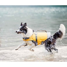 후르타라이프세이비어