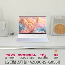 LG 그램 스타일 14ZD90RS-GX56K i5 16G 256GB OLED 고해상도 999g 초경량 노트북, 14ZD90S-GX56K, Free DOS, 16GB, 1TB, 오로라화이트