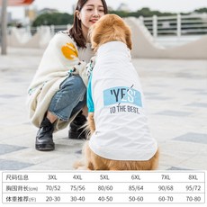 강아지몽클레어