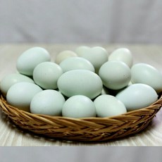 귀한 청란 자연속 자연방사유정란 푸른색 귀한 계란 중란, 30개입