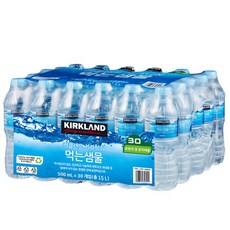 코스트코 먹는 샘물 500ml x30병, 1개