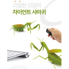무선조종사마귀