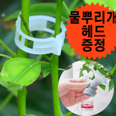고추끈매는클립