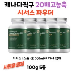 스타벅스기프트콘