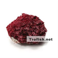 19556ef832ffc3f0e9635405938731803e0fb2662b384a84d5be71e56bed.jpg