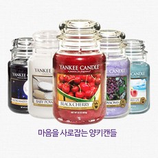 양키캔들플로럴캔디