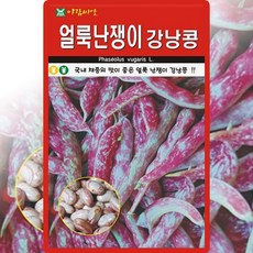 아람종묘 얼룩난쟁이강낭콩 씨앗 30g 비넝쿨성 얼룩콩 씨 종자