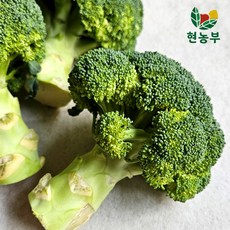 산지직송 제주 햇 브로콜리, 1박스, 4kg