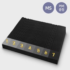팜파스토퍼커버