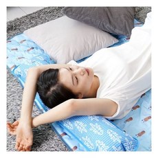 코스트코아이스바디필로우