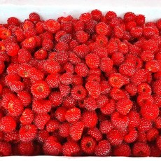 포항 장기 산딸기 보경사 생딸기 생과 1kg, 포항 산딸기 1kg