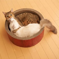 점보아기체육관
