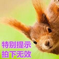 7fc3f2839229845337fa5efc4e4563aeaf82b2756d1ddbd22c15d1681ff5.jpg