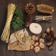 본아트촬영의상