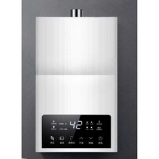 욕조 온수 보일러 차박 부엌 밸브 목욕 샤워 가열 휴대, (기본형)12L-LPG