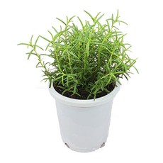615e53b0dd93981ee855c73d78d5b3e10ea6d8dbdd452ca56ac8d87ba13d.jpg